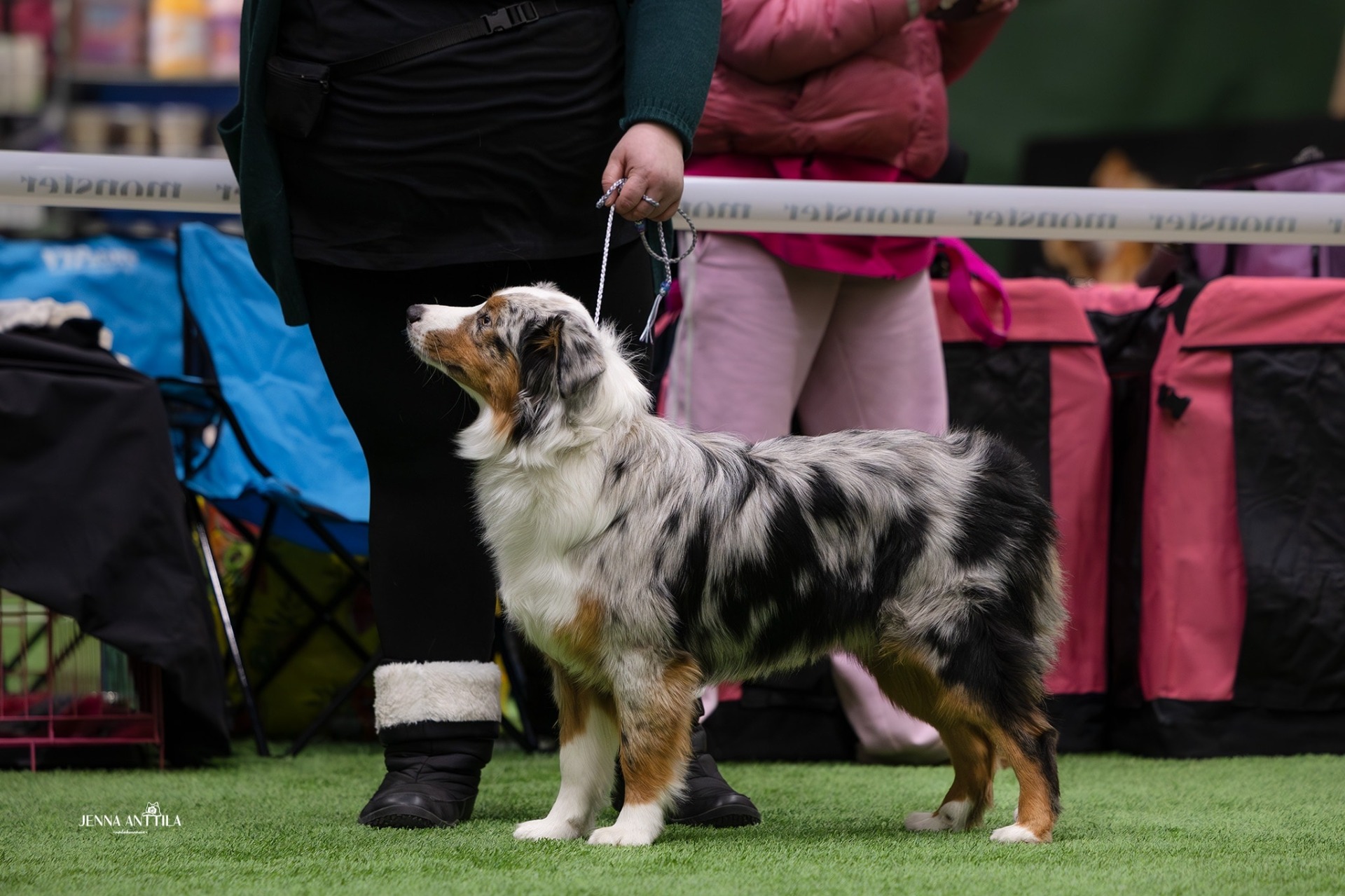 Kuvaaja Jenna Anttila